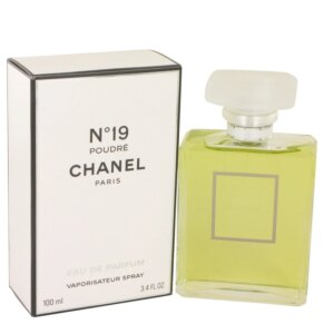 Chanel 19 Poudre Perfume by Chanel for Women