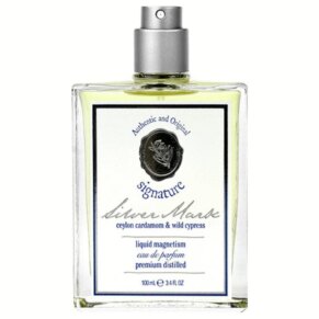 Liquid Magnetism Silver Cologne by Jack Black for Men