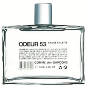 Odeur 53 Perfume by Comme Des Garcons for Women