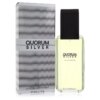 Quorum Silver Cologne by Puig for Men